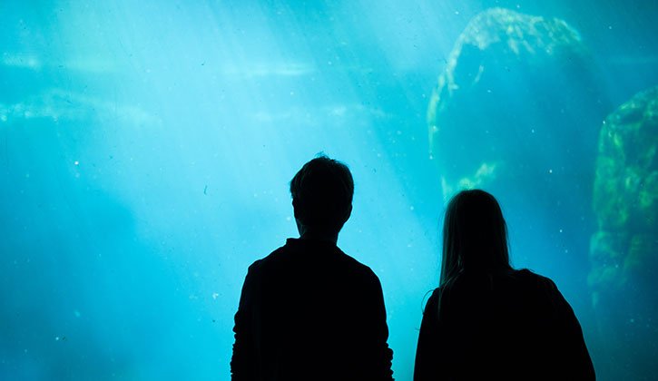 水族館でのプロポーズ