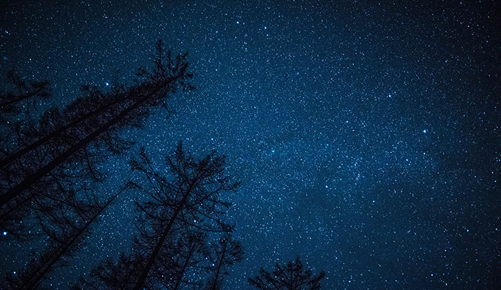 夜空を見上げながらプロポーズ